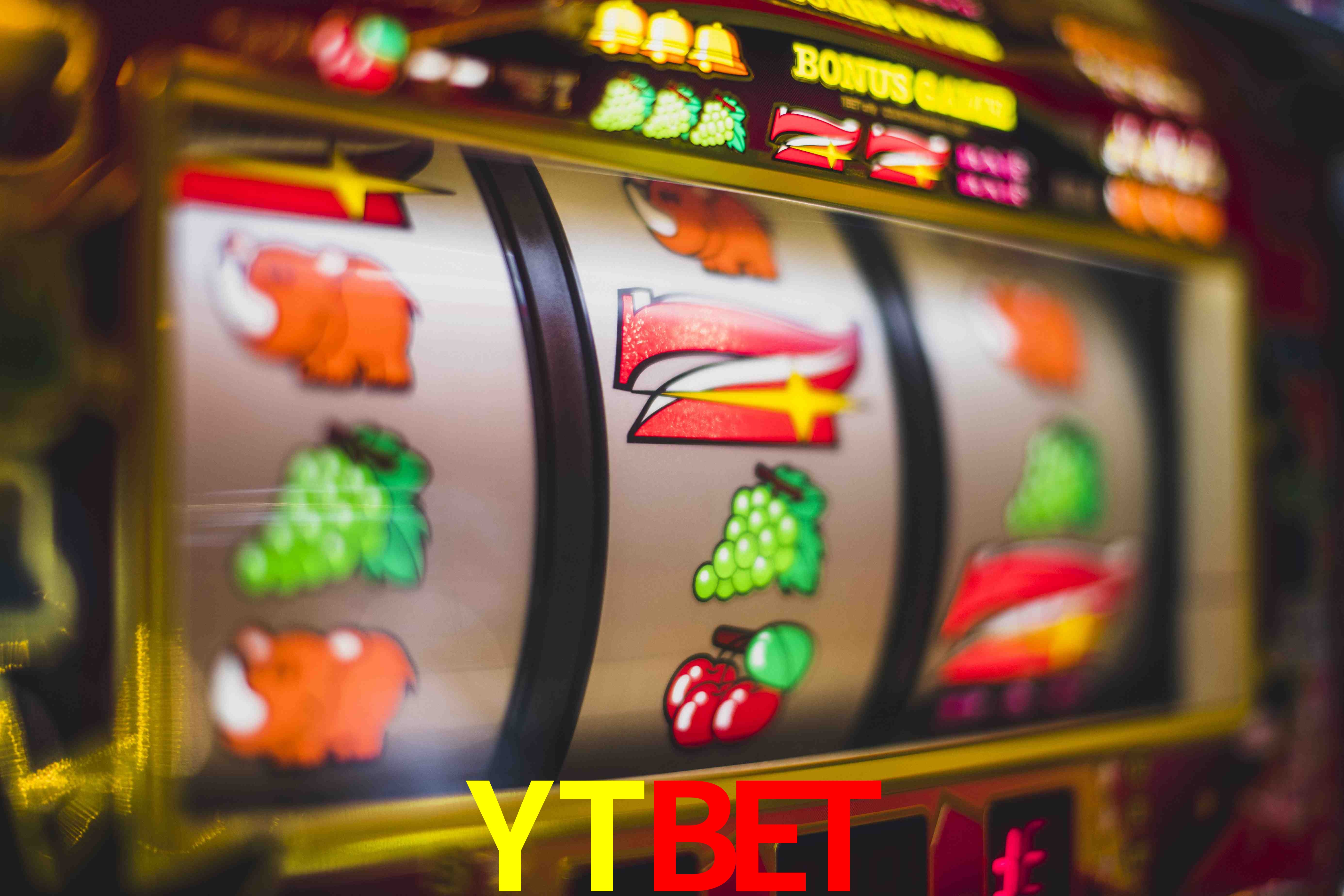 Crash Games Statistics YTBET